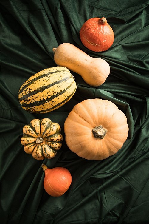 Oft greift man zum Hokkaido, weil man da die Schale mit verwenden kann. Doch es lohnt sich, auch mal andere Sorten auszuprobieren, etwa Butternut-Kürbis, Spaghetti-Kürbis oder Gorgonzola-Kürbis. - © Christin Klose/dpa-tmn
