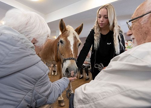 Die Bewohner können das Pferd füttern, streicheln und striegeln. - © Boris Roessler/dpa