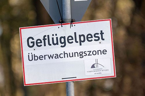 Pro getötetem Tier können Tierhalterinnen und Tierhalter bis zu 50 Euro erhalten. (Symbolbild) - © Stefan Sauer/dpa