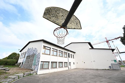 Um die Gemeindehalle in Kirchberg an der Murr abreißen zu dürfen, musste sich die Gemeinde erst um vier Fledermäuse kümmern. - © Bernd Weißbrod/dpa