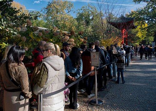 Manch ein Panda-Fan stellt sich sogar zwei Mal in die Schlange. - © Paul Zinken/dpa