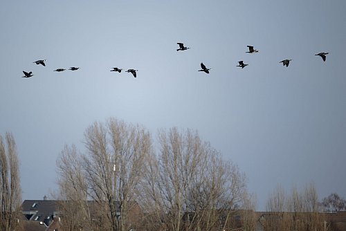 In Nordrhein-Westfalen bleibt es in den kommenden Tagen frisch. (Symbolbild) - © Henning Kaiser/dpa