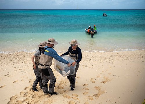Greenpeace hatte die neue Studie in Auftrag gegeben. - © Chewy C. Lin/Greenpeace/dpa