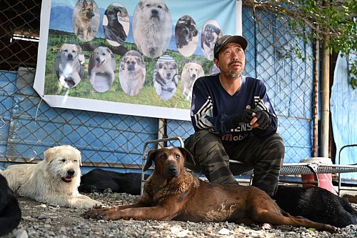 Huzi hatte zehn Jahre in Peking gearbeitet, bevor er entschied, sich nur noch um Hunde zu kümmern. - © Johannes Neudecker/dpa