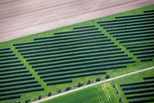 Die gut 19.000 Freiflächenanlagen haben oft eine hohe Leistung. (Archivbild) - © Pia Bayer/dpa