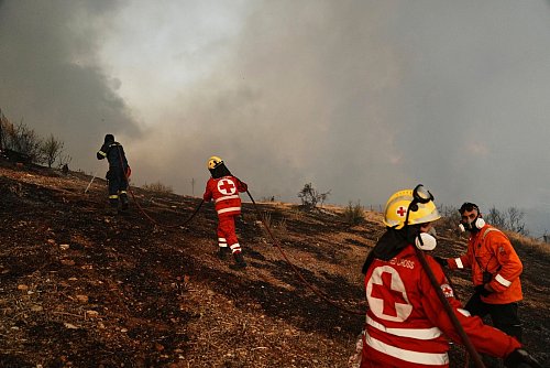 Tausende Feuerwehrleute sind in Griechenland im Einsatz. - © Thanassis Stavrakis/AP/dpa