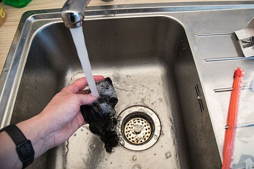 Schritt 1: Strumpfhose unter kaltem Wasser abspülen und leicht auswringen. - © Christin Klose/dpa-tmn