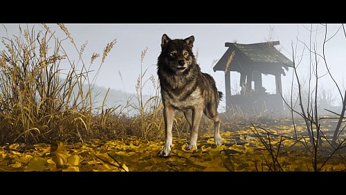 Atsu muss ein Rudel um sich sammeln: DIe Wölfin ist Teil davon. - © Sony Interactive Entertainment/dpa-tmn