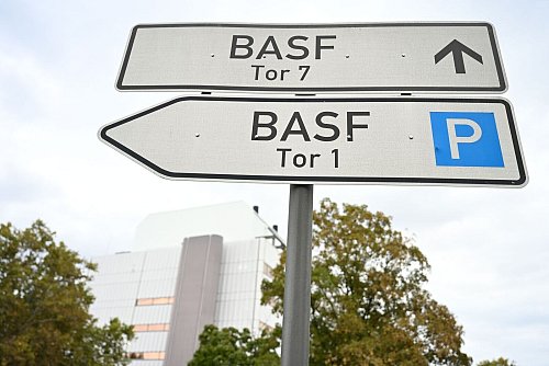 Der BASF-Vorstand «Der Preisdruck nimmt ein wenig ab. Wir richten den Blick nach oben», sagte Finanzvorstand Dirk Elvermann - © Uwe Anspach/dpa