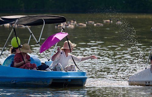 Auf dem Wasser und im Schatten ist es erträglich. Drei Frauen sind in einem Tretboot auf dem Aasee in Münster unterwegs. - © Bernd Thissen/dpa