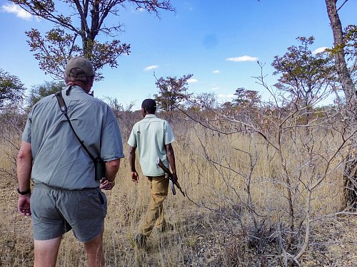 Wildnis entdecken: Unter kundiger Führung können Interessierte Touren durch den Park machen. - © Simone Spohr/dpa-tmn