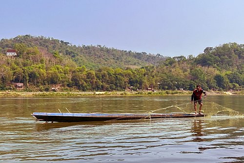 Ein Fischer wirft von seinem Longboat aus sein Netz in den Mekong. - © Carola Frentzen/dpa-tmn