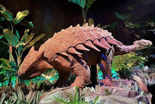 Der Rundgang führt durch detailreiche Szenenwelten mit stacheligen Panzer-Dinos, Velociraptoren und weiteren Sauriern. - © Carola Frentzen/dpa-tmn