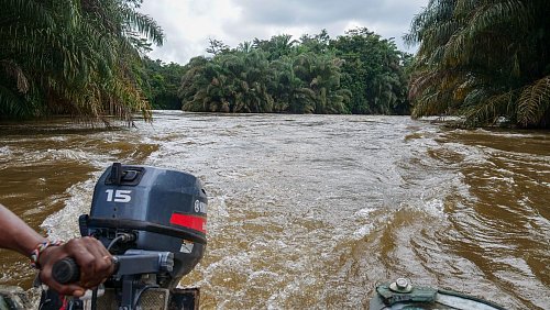 Im Boot geht es durch den Regenwald zum Schutzgebiet Tiwai Island. - © Julian Hilgers/dpa-tmn