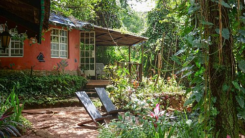 In solchen Gästebungalows können Touristen im Tacugama Sanctuary übernachten. - © Julian Hilgers/dpa-tmn