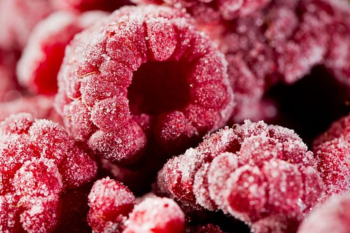 Tiefgekühlte Beeren sind um einiges günstiger als gefriergetrocknete oder frische Ware. - © Franziska Gabbert/dpa-tmn