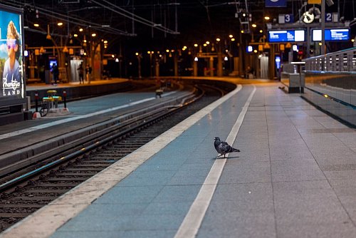 Der Kölner Hauptbahnhof war in der Nacht zum Samstag komplett gesperrt. - © Thomas Banneyer/dpa