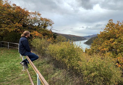 Laut dem Lagebild zur häuslichen Gewalt des Bundeskriminalamts (BKA) waren vergangenes Jahr rund 70 Prozent der Betroffenen weiblich und gut 30 Prozent männlich. - © Andreas Arnold/dpa