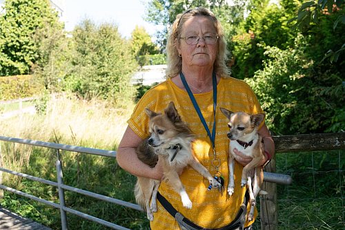 Die beiden Hunde von Petra Hanke witterten den Geruch der Kofferleiche schon früh. - © Markus Lenhardt/dpa