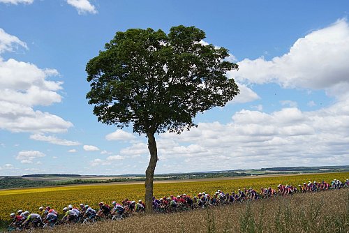Die Tour steuerte auf der vierten Etappe Rouen an. - © Thibault Camus/AP/dpa