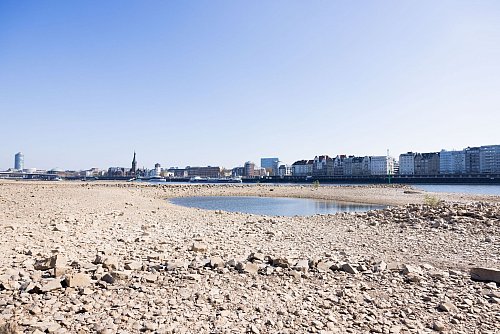 Steine, wo sonst der Rhein fließt: Niedrigwasser bei Düsseldorf - © Rolf Vennenbernd/dpa