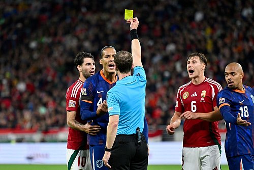 Im Disput mit Schiedsrichter Lukas Fähndrich: Virgil van Dijk - © Denes Erdos/AP/dpa