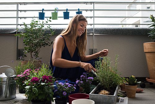 Kräuterbeet oder Blütenmeer: Je mehr Pflanzen in Ballungsgebieten wachsen, desto besser und wirkungsvoller sind die Effekte von Begrünung für das Klima. - © Franziska Gabbert/dpa-tmn