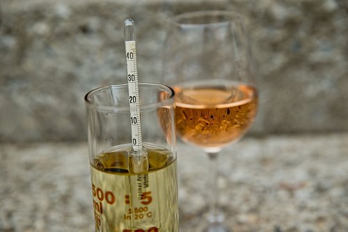 Mittels Alkoholmeter, der in einem Zylinder mit Wein schwimmt, wird der Alkoholwert abgelesen. In diesem Glas zeigt es einen Wert von null Volumenprozent an. - © Daniel Karmann/dpa/dpa-tmn