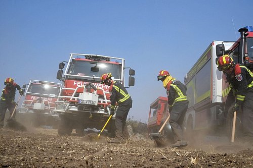 Neben Kollegen aus anderen europäischen Ländern waren auch 67 Feuerwehrleute mit ihren Fahrzeugen aus Niedersachsen und Nordrhein-Westfalen in Spanien im Einsatz. Nach gut einer Woche traten sie die Rückreise an. (Archivbild) - © Sven Käuler/dpa