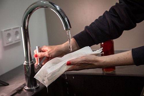 Schritt 1: Küchenpapier mit Wasser befeuchten. - © Christin Klose/dpa-tmn