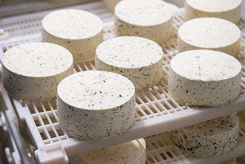 Wer sich in Quark und Frischkäse geübt hat, kann später auch zur Herstellung von Weichkäse übergehen. - © Franziska Gabbert/dpa-tmn
