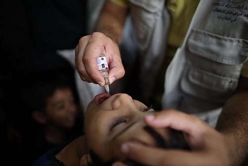 Im Gazastreifen brachte die Weltgesundheitsorganisation WHO die erste Runde der Polio-Impfung erfolgreich über die Bühne. - © Marwan Dawood/XinHua/dpa