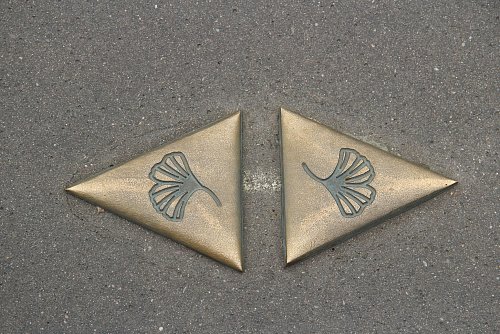Rundgang: Das Ginkgoblatt weist den Weg zum Jugendstil - auf Französisch: Art Nouveau. - © Bernd F. Meier/dpa-tmn