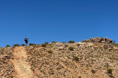 Wander-Guide Ian Vickers führt durch die von Spinifex-Süßgras gesprenkelte Canyon-Landschaft im Nationalpark. - © Stefan Weißenborn/dpa-tmn