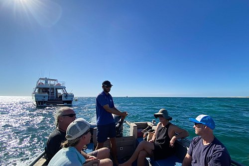 Mit einem Boot werden die Tourteilnehmer zum Exkursionsschiff gebracht. - © Stefan Weißenborn/dpa-tmn