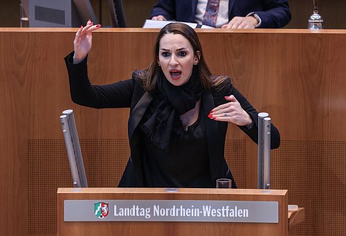 Die AfD-Abgeordnete Enxhi Seli-Zacharias warf Fluchtministerin Paul (Grüne) vor, sie versuche, sich kurz vor der Bundestagswahl als «Abschiebe-Königin» zu inszenieren. - © Oliver Berg/dpa