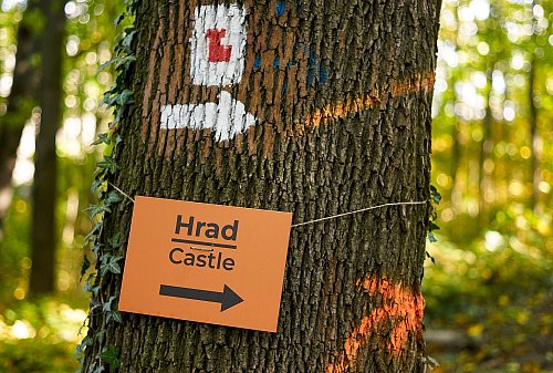 Wer nicht den direkten Weg gehen will, nimmt einen Abstecher durch ein Waldstück zur mittelalterlichen Burganlage im slowakischen Trencin. - © Michael Heitmann/dpa-tmn