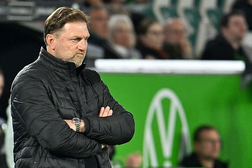Frust pur bei Wolfsburgs Trainer Ralph Hasenhüttl. - © Swen Pförtner/dpa