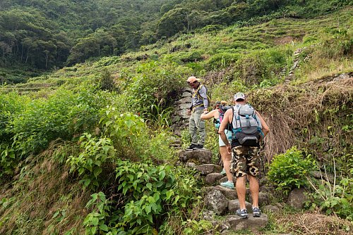 Gewisse Fitness sollte man mitbringen: Bei Wanderungen, wie hier zwischen Cambulo und Batad, geht es oft steil bergauf. - © Andreas Drouve/dpa-tmn