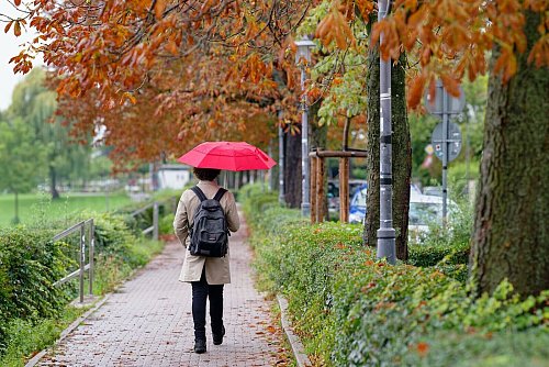 Im Südwesten kam der September eher nass daher (Symboldbild) - © Uwe Anspach/dpa