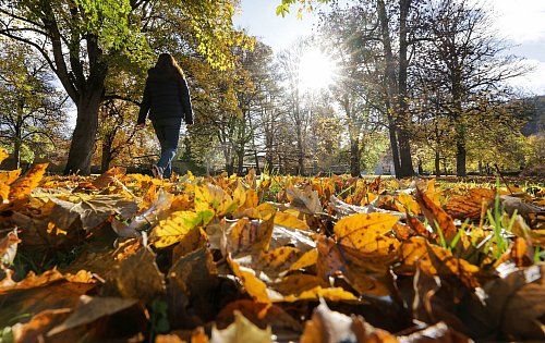 Die Sonne ist längst nicht überall zu sehen und zeigt sich eher sporadisch. - © Thomas Warnack/dpa