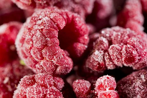 Beeren sollten einzeln auf einem Tablett vorfrieren, damit sie nicht zusammenkleben. - © Franziska Gabbert/dpa-tmn