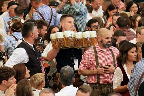 Eine Bedienung schleppt Maßkrüge durch ein Wiesn-Festzelt. - © Karl-Josef Hildenbrand/dpa