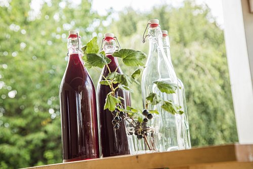 Auch aus Johannisbeeren kann mit Hilfe eines Entsafters ein leckeres Getränk werden. - © Christin Klose/dpa-tmn