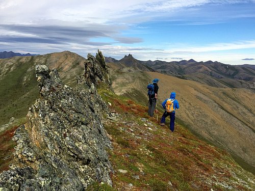 Aussicht im kanadischen Ivvavik National Park. Hier sind alle drei in Kanada vorkommenden Bärenarten zu Hause: Schwarzbären, Grizzlies und Eisbären. - © Ole Helmhausen/dpa-tmn