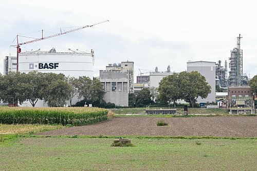 Der weltgrößte Chemiekonzern BASF will mit einer neuen Strategie wieder profitabler werden. - © Uwe Anspach/dpa