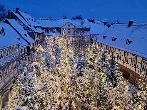 Nadelbäume auf dem Schuhhof: In Goslar wird zum Advent ein Weihnachtswald geschaffen, in dem sich auch die Buden verstecken. - © Goslar Marketing GmbH/dpa-tmn