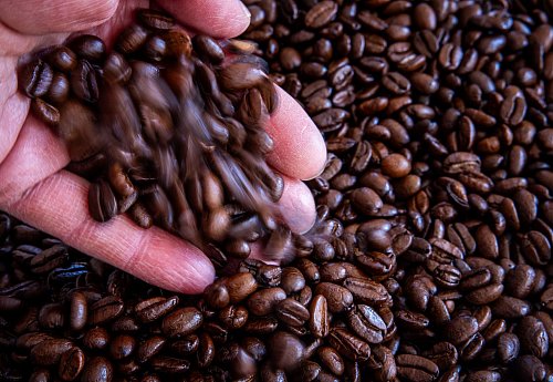 Kaffee und Schokolade waren im August deutlich teurer als ein Jahr zuvor. (Archivbild) - © Jens Büttner/dpa