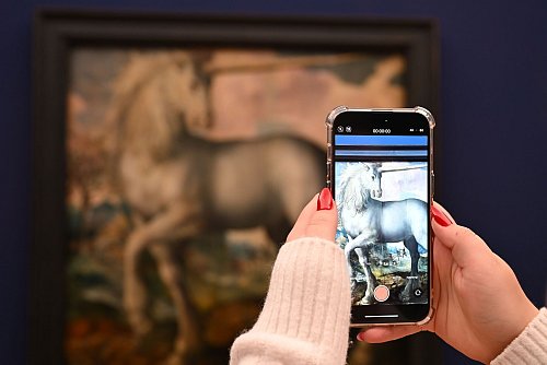 Im Museum Barberini beschäftigt sich eine Ausstellung mit dem Fabeltier. - © Lilli Förter/dpa
