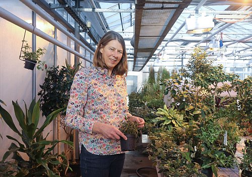 Jutta Papenbrock ist Professorin am Institut für Botanik der Leibniz Universität Hannover. - © Ilona Hottmann/dpa-tmn